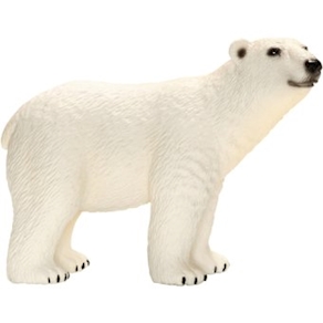 Eisbär