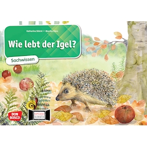 Wie lebt der Igel – Kamishibai Bildkarten