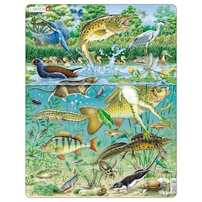 Tiere im Teich, Puzzle 50 Teile