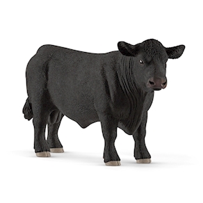 Black Angus Bulle