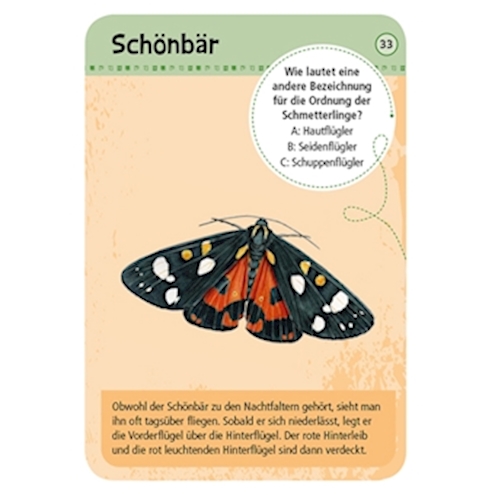 50 heimische Schmetterlinge, Lernkarten