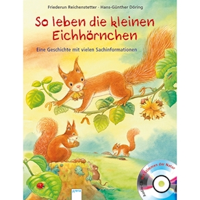 So leben die kleinen Eichhörnchen