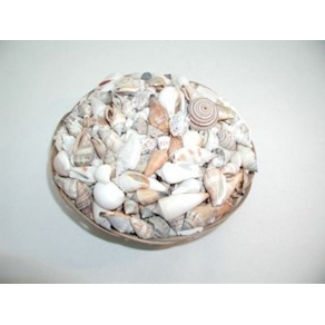 Muschelkorb mit kleinen Muscheln, ca. 1 kg